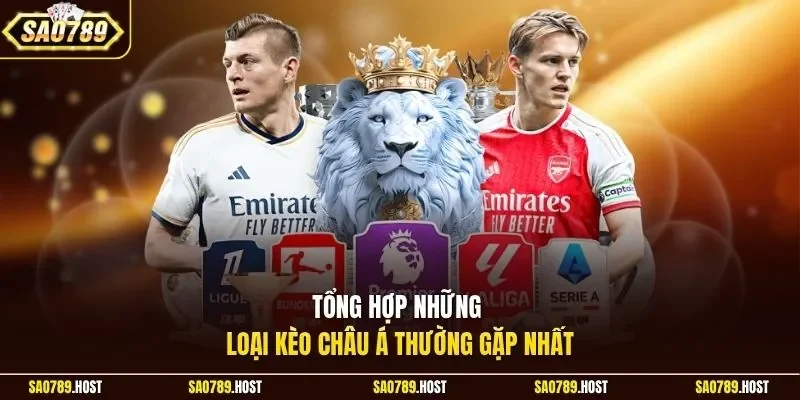 Tổng hợp những loại kèo châu Á thường gặp nhất